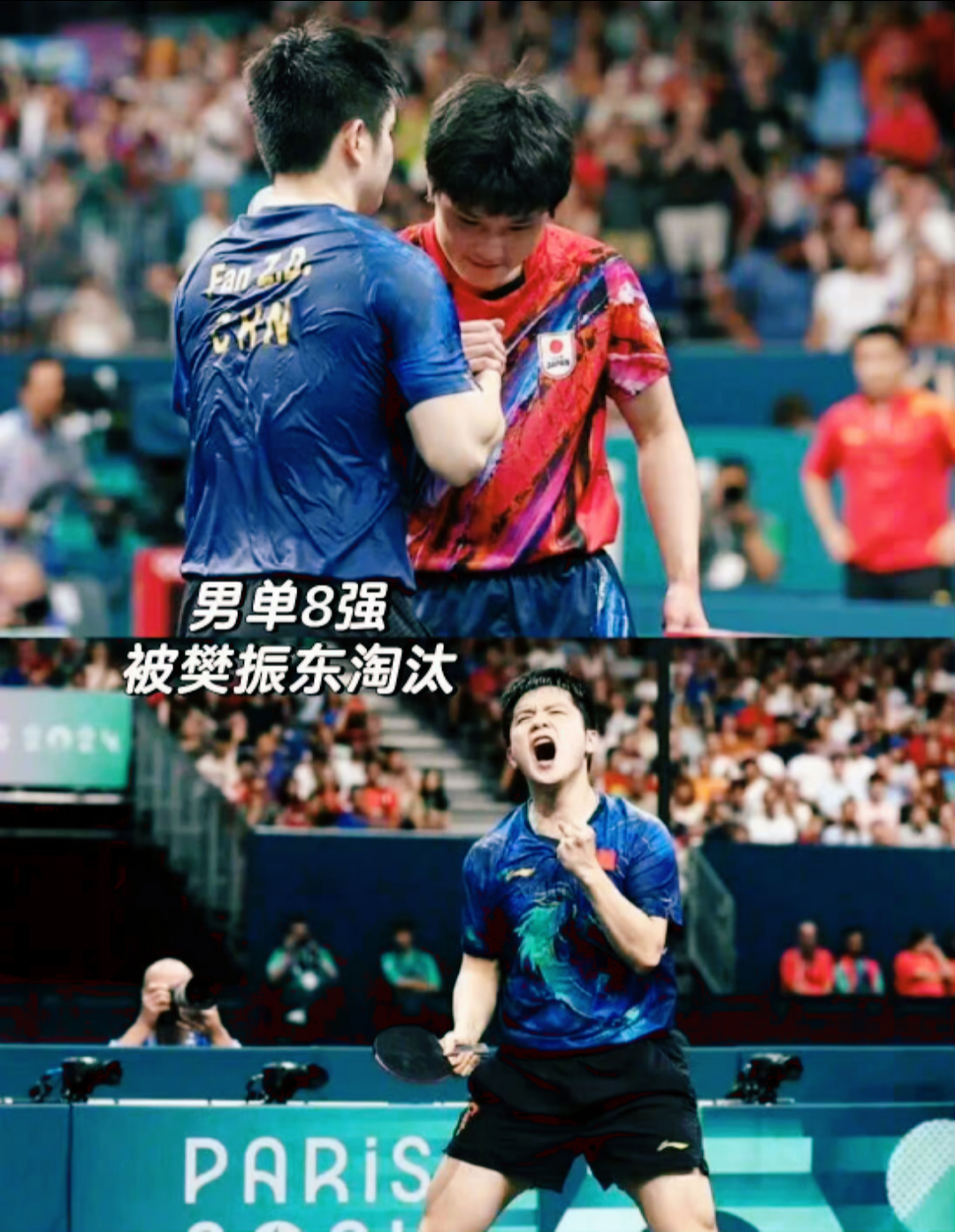 包含中国队轻取葡萄牙队，张本智和刷新纪录的词条