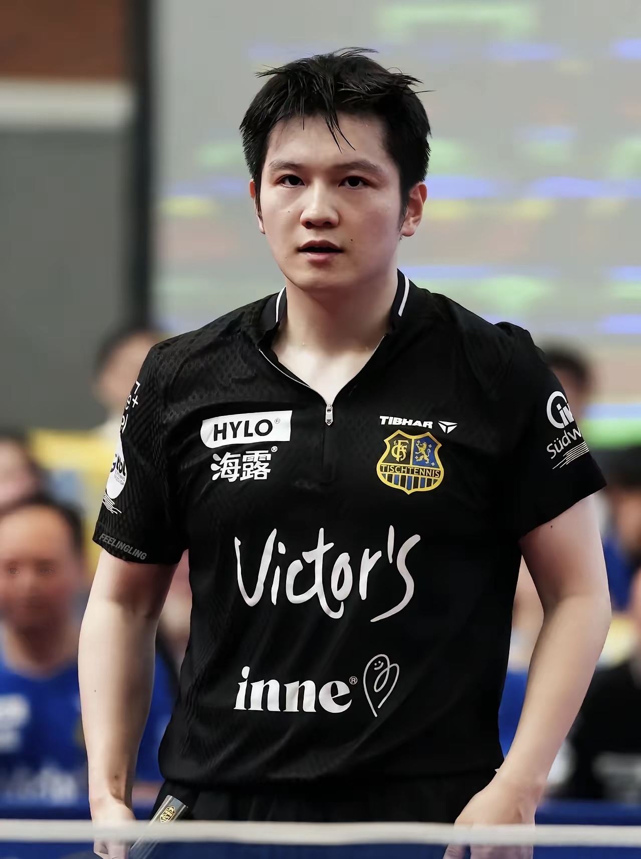 世俱杯参赛资格-瑞典队逆转葡萄牙队,樊振东统治全场的简单介绍