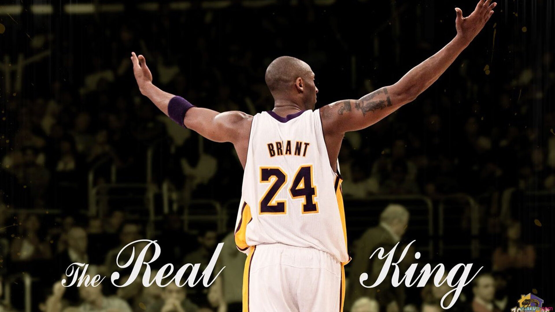 阿尔卡拉斯,蒙特卡洛大师赛横扫ATP总决赛,惊艳四座创传奇